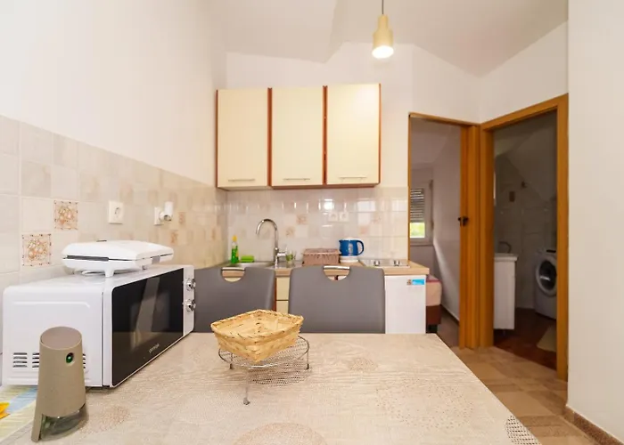 Toni * 크리크베니카