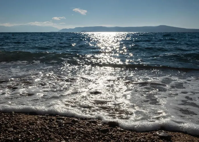 Toni 아파트 크리크베니카